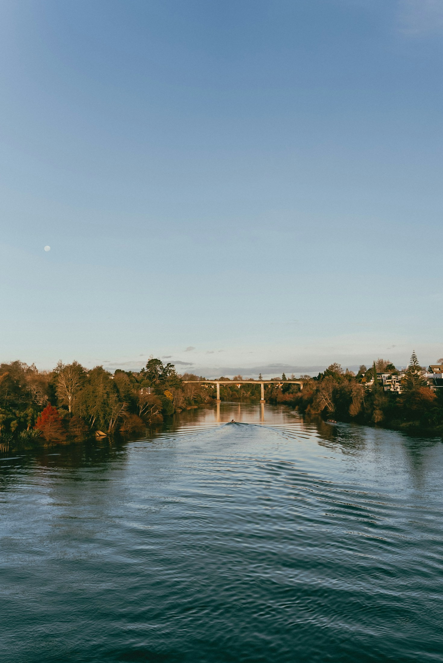 Why Infrastructure Matters: Insights from David Taylor